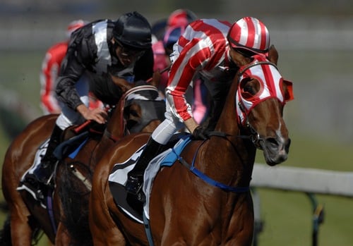 Horse racing