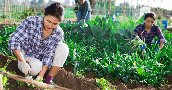 Why Taking a Gap Year Could Be a Senior’s Best Next Decision