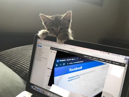 How to Clean Up Your Social Media for College