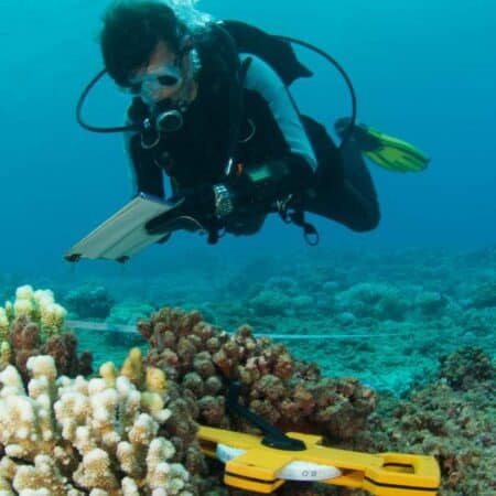 Best Marine Biology Colleges by Academics, Aid, and Value