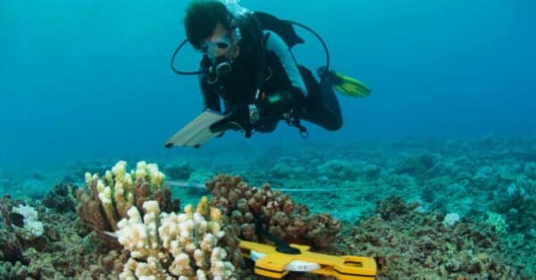 Best Marine Biology Colleges by Academics, Aid, and Value